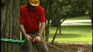 Tree Pulling Kit 5:1 Mechanical Advantage