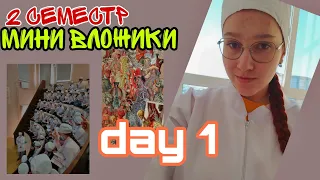 Study Vlog. Первая неделя второго семестра