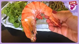 The way to bring giant tiger prawns from Thailand