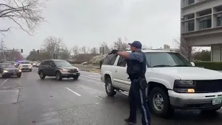 Police Intervene as Man Pulls Gun on Anti-Fascist Protesters in Salem