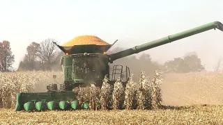 Corn Harvest 2020 | John Deere S780 Combine Harvesting Corn | Ontario, Canada