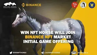 WIN NFT HORSE Review - How To Play Win NFT Horse - GameFi