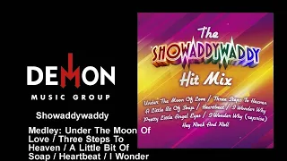 Showaddywaddy - Medley: Under The Moon Of Love / Three Steps To Heaven / A Little Bit Of Soap /...