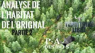 P-A des Bois en TERRITOIRE LIBRE - ÉPISODE #6 - ANALYSE DE L'HABITAT DE L'ORIGNAL - Partie 2