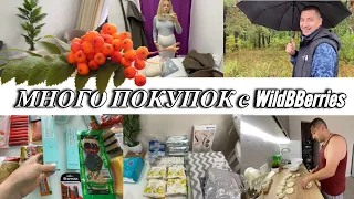 VLOG: ОТКАЗАЛА МУЖУ/Выбираю КОМПРЕССИОННЫЕ ЧУЛКИ/Купили ПАЛЬМУ/ПОКУПКИ для СЕБЯ И РЕБЕНКА