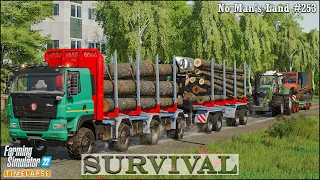 Survival in No Man's Land Ep.253🔹Finishing Stacking Timber & Transporting into The Sawmill🔹#FS22