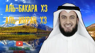 3x АЛЬ-БАКАРА, 3x АЛЬ-ИМРАН | МИШАРИ РАШИД