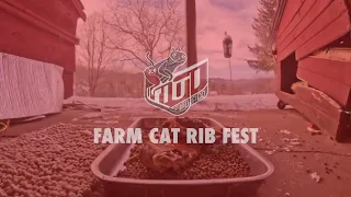 Farm Cat Rib Fest