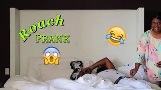 HILARIOUS ROACH PRANK ON HUSBAND