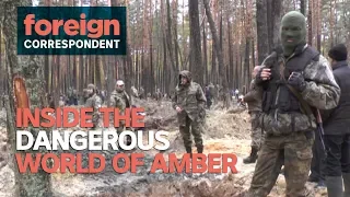 Inside the dangerous world of illegal amber mining in Ukraine | Foreign Correspondent