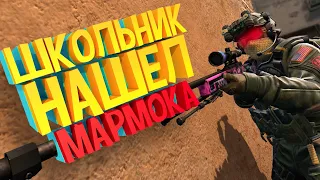 ШКОЛЬНИК НАШЕЛ МАРМОКА - ТРОЛЛИНГ ГОЛОСОМ МАРМОКА В CS:GO #8