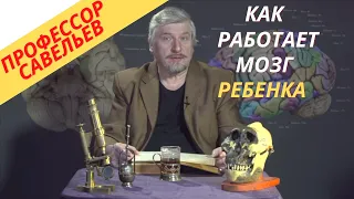 Профессор Савельев - как работает мозг ребенка