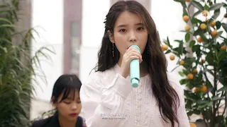 【中字/韓繁雙字 · 4K】[MV] IU - eight (Acoustic Ver. Live Clip) 原聲現場片段