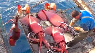 Modern Fast Giant Squid Fishing Technology Big Boats - Great Traditional Great Squid Fishing Skills