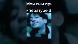 Сталин в столе((