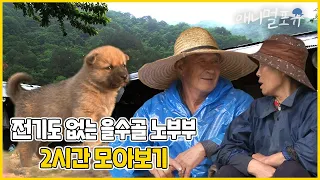 맨손으로 뱀을 잡고 벌을 만지는 할아버지?! 노부부가 사는 산골짜기에 드디어 전기가 들어오려 한다!🔌| 을수골에 불이 밝으면 | 인간극장 2012 방송