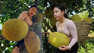 17 year old girl: harvesting jackfruit to sell at the market, taking care of kittens, gardening