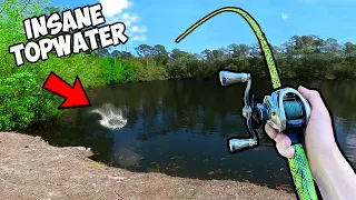 1v1 Crazy Topwater Lures ONLY Bass Fishing Tournament (INSANE)