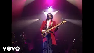 Laurent Voulzy - Rockollection (Voulzy Tour au Zénith de Paris 1993)