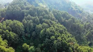 SUBHANALLAH!! INIKAH SURGA DI DUNIA - TEMPAT TERINDAH DI DUNIA SEPERTI SURGA MENGHIJAU