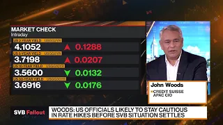 Fed Will Probably Pause on Monetary Tightening: Woods