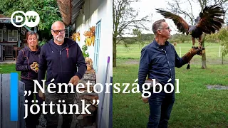 Magyarországra költöző németek: miért jönnek, és meddig maradnak?