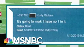 Lev Parnas: Trump Helped Push For Visa For Former Ukraine Official | Rachel Maddow | MSNBC