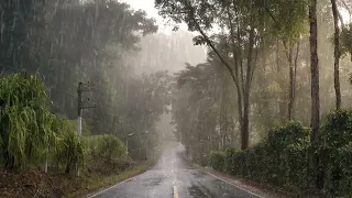 Rain Sound On Forest (3 Hours)ㅣHeavy Rain for Sleep, Study and Relaxation, Meditation