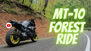 Yamaha MT-10 | Forest Ride [4K + RAW Audio]