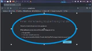 Fix kali Linux internet connection Issue | Firefox Hmm We're having trouble finding that site