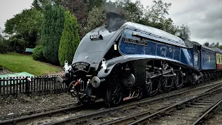 (HD) N.Y.M.R. Steam Gala at Grosmont 24/09/2023