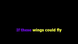 Birdy Wings Karaoke