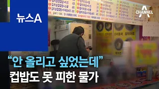 “안 올리고 싶었는데”…컵밥도 못 피한 물가 | 뉴스A