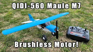 QIDI-560 Micro RC Plane