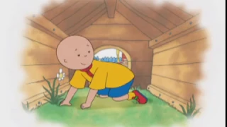 Caillou en Español - Caillou Y Los Cachorros | Dibujos Animados Capítulos Completos