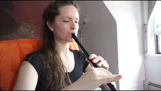 Road to Lisdoonvarna -- Tin whistle Bb + Tutorial