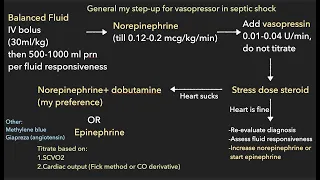 ICU basic: 1.How I use vasopressors  A practical and evidence based approach (Mandarin version 中文語音）