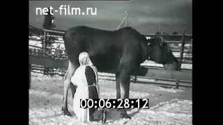 1959г. Печоро- Илычский заповедник. лосиная ферма. Коми