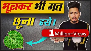मत छूना इसे | How many people are in Space? KBH EP 17