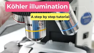 Köhler illumination || A step by step tutorial.