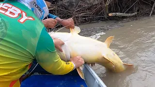 Pesca y cocina de un Pez Monstruo.