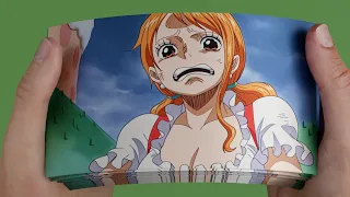 Nami Cries For Luffy Flipbook | One Piece Flipbook