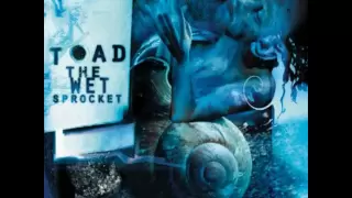 Toad the Wet Sprocket - Crazy Life
