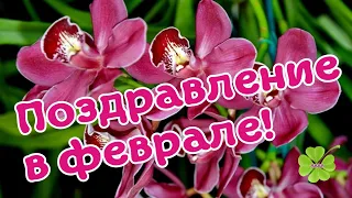 С ДНЕМ РОЖДЕНИЯ В ФЕВРАЛЕ! ОРХИДЕИ В ЗОЛОТЕ