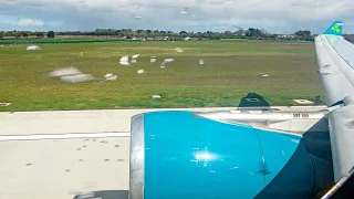 Aer Lingus A330 Multiple BIRD STRIKES on Take Off - Engine Damage & Overweight landing