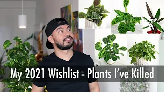 5 Houseplants I Regret Killing | Indoor Plants I’ve Killed and Will Try Again