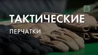 Обзор линейки тактических перчаток Сплав