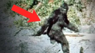 Real Bigfoot का अब तक का सबसे सच्चा सबूत | Real Bigfoot yeti Spotted 2021| Bigfoot in hindi #shorts