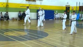 Brown Belts Testing For Brown - Kihon/Basics - Charleswood Karate May 2012