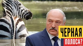 ТАК ВОТ ПОЧЕМУ не везёт Лукашенко